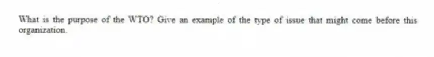 What is the purpose of the WTO? Give an example of the type of issue that might come before this organization.