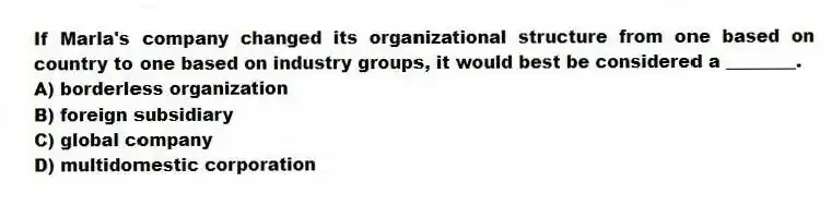 If Marla's company changed its organizational structure from one based on country to one based on industry groups, it would best be considered a ________.
A) borderless organization
B) foreign subsidiary
C) global company
D) multidomestic corporation