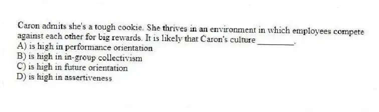 Caron admits she's a tough cookie. She thrives in an environment in which employees compete against each other for big rewards. It is likely that Caron's culture ________.
A) is high in performance orientation
B) is high in in-group collectivism
C) is high in future orientation
D) is high in assertiveness