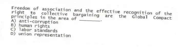 Freedom of association and the effective recognition of the right to collective bargaining are the Global Compact principles in the area of ________.
A) anti-corruption
B) human rights
C) labor standards
D) union representation
