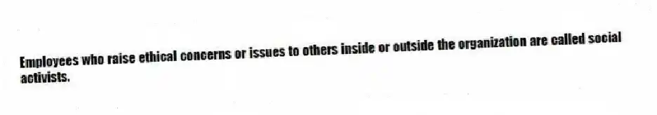 Employees who raise ethical concerns or issues to others inside or outside the organization are called social activists.