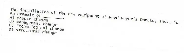 The installation of the new equipment at Fred Fryer's Donuts, Inc., is an example of ________.
A) people change
B) management change
C) technological change
D) structural change