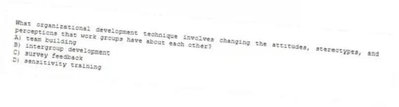 What organizational development technique involves changing the attitudes, stereotypes, and perceptions that work groups have about each other?
A) team building
B) intergroup development
C) survey feedback
D) sensitivity training