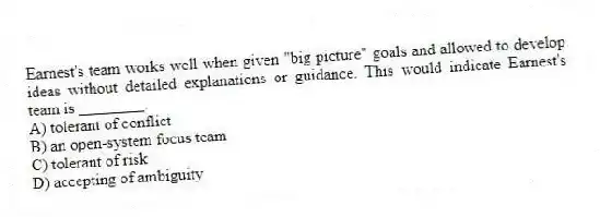 Earnest's team works well when given "big picture" goals and allowed to develop ideas without detailed explanations or guidance. This would indicate Earnest's team is ________.
A) tolerant of conflict
B) an open-system focus team
C) tolerant of risk
D) accepting of ambiguity