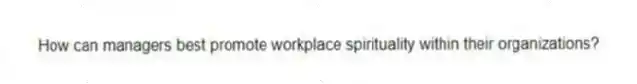 How can managers best promote workplace spirituality within their organizations?
