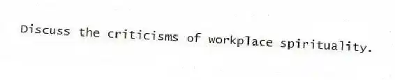 Discuss the criticisms of workplace spirituality.