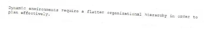 Dynamic environments require a flatter organizational hierarchy in order to plan effectively.