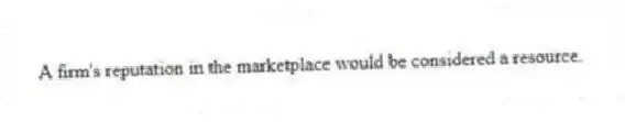 A firm's reputation in the marketplace would be considered a resource.