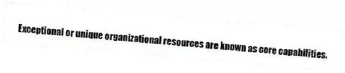 Exceptional or unique organizational resources are known as core capabilities.