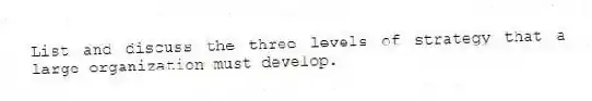List and discuss the three levels of strategy that a large organization must develop.