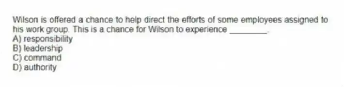 Wilson is offered a chance to help direct the efforts of some employees assigned to his work group. This is a chance for Wilson to experience ________.
A) responsibility
B) leadership
C) command
D) authority