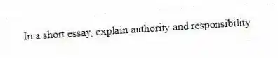 In a short essay, explain authority and responsibility