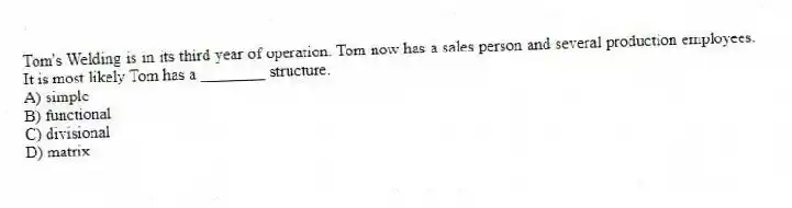 Tom's Welding is in its third year of operation. Tom now has a sales person and several production employees. It is most likely Tom has a ________ structure.
A) simple
B) functional
C) divisional
D) matrix