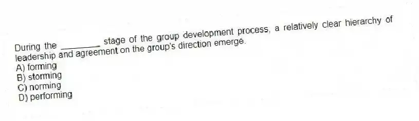During the ________ stage of the group development process, a relatively clear hierarchy of leadership and agreement on the group's direction emerge.
A) forming
B) storming
C) norming
D) performing
