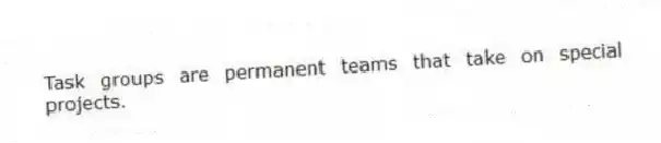 Task groups are permanent teams that take on special projects.