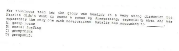 Her instincts told her the group was heading in a very wrong direction but Natalie didn't want to cause a scene by disagreeing, especially when she was apparently the only one with reservations. Natalie has succumbed to ________.
A) group norms
B) social loafing
C) groupthink
D) groupshift