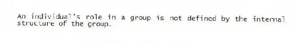 An individual's role in a group is not defined by the internal structure of the group.