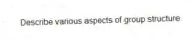 Describe various aspects of group structure.