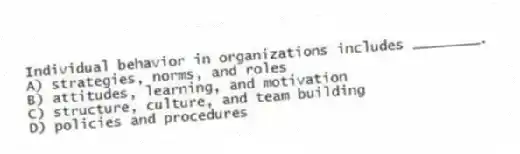 Individual behavior in organizations includes ________.
A) strategies, norms, and roles
B) attitudes, learning, and motivation
C) structure, culture, and team building
D) policies and procedures