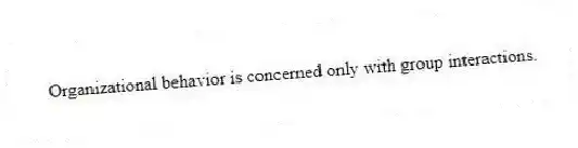 Organizational behavior is concerned only with group interactions.