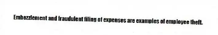 Embezzlement and fraudulent filing of expenses are examples of employee theft.