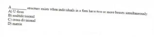 A ________ structure exists when individuals in a firm have two or more bosses simultaneously.
A) U-form
B) multidivisional
C) cross-divisional
D) matrix