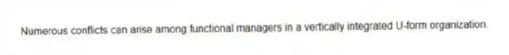 Numerous conflicts can arise among functional managers in a vertically integrated U-form organization.