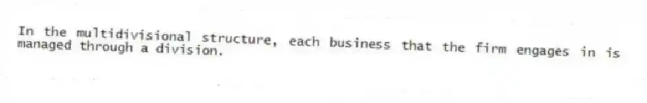 In the multidivisional structure, each business that the firm engages in is managed through a division.