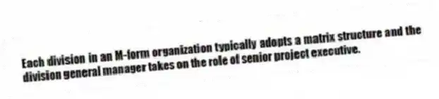 Each division in an M-form organization typically adopts a matrix structure and the division general manager takes on the role of senior project executive.