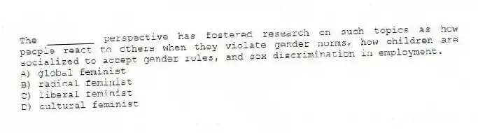 The ________ perspective has fostered research on such topics as how people react to others when they violate gender norms, how children are socialized to accept gender roles, and sex discrimination in employment.
A) global feminist
B) radical feminist
C) liberal feminist
D) cultural feminist
