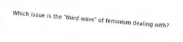 Which issue is the "third wave" of feminism dealing with?