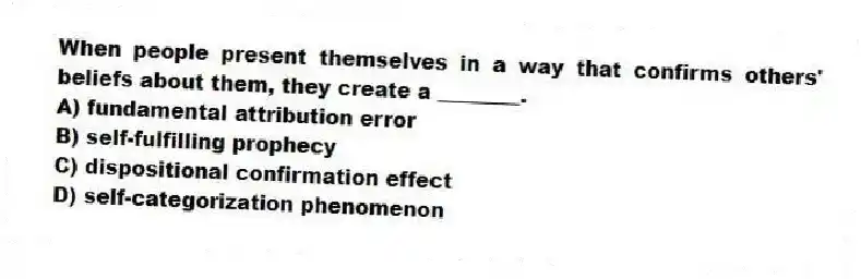 When people present themselves in a way that confirms others' beliefs about them, they create a ________.
A) fundamental attribution error
B) self-fulfilling prophecy
C) dispositional confirmation effect
D) self-categorization phenomenon