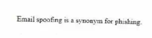 Email spoofing is a synonym for phishing.