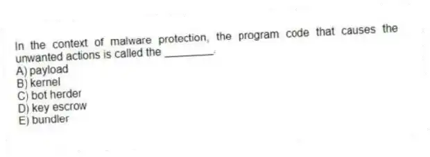 In the context of malware protection, the program code that causes the unwanted actions is called the ________.
A) payload
B) kernel
C) bot herder
D) key escrow
E) bundler