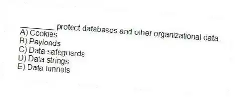 ________ protect databases and other organizational data.
A) Cookies
B) Payloads
C) Data safeguards
D) Data strings
E) Data tunnels