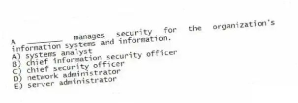 A ________ manages security for the organization's information systems and information.
A) systems analyst
B) chief information security officer
C) chief security officer
D) network administrator
E) server administrator