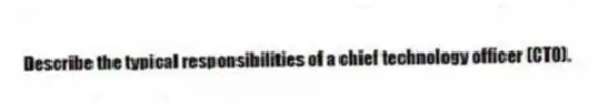 Describe the typical responsibilities of a chief technology officer (CTO).