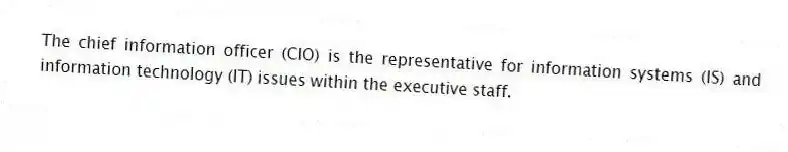 The chief information officer (CIO) is the representative for information systems (IS) and information technology (IT) issues within the executive staff.