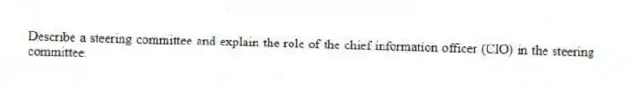 Describe a steering committee and explain the role of the chief information officer (CIO) in the steering committee.