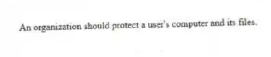 An organization should protect a user's computer and its files.