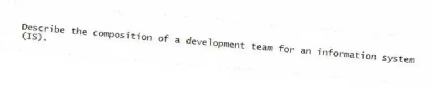 Describe the composition of a development team for an information system (IS).