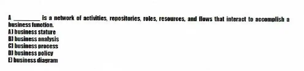 A ________ is a network of activities, repositories, roles, resources, and flows that interact to accomplish a business function.
A) business stature
B) business analysis
C) business process
D) business policy
E) business diagram