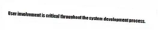User involvement is critical throughout the system development process.