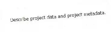 Describe project data and project metadata.