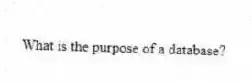 What is the purpose of a database?