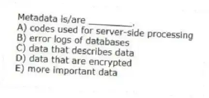 Metadata is/are ________.
A) codes used for server-side processing
B) error logs of databases
C) data that describes data
D) data that are encrypted
E) more important data