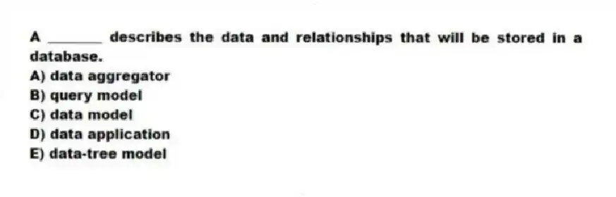 A ________ describes the data and relationships that will be stored in a database.
A) data aggregator
B) query model
C) data model
D) data application
E) data-tree model