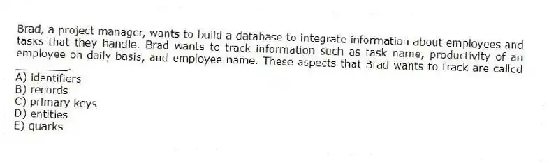 Brad, a project manager, wants to build a database to integrate information about employees and tasks that they handle. Brad wants to track information such as task name, productivity of an employee on daily basis, and employee name. These aspects that Brad wants to track are called ________.
A) identifiers
B) records
C) primary keys
D) entities
E) quarks