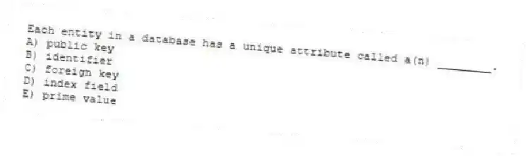 Each entity in a database has a unique attribute called a(n) ________.
A) public key
B) identifier
C) foreign key
D) index field
E) prime value