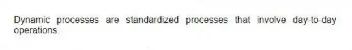 Dynamic processes are standardized processes that involve day-to-day operations.